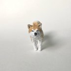 作品機嫌が良いのか悪いのか分からない秋田犬さん