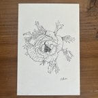 作品花ペン画イラスト　原画