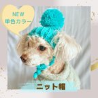 作品【犬用ニット帽】単色が大人可愛いニット帽子(ターコイズブルー)