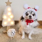 作品犬 SSサイズ サンタクロース 帽子 ♡ クリスマス 猫 ペット犬かぶりもの 被り物 ぽんぽん ニット 帽子 犬帽子