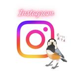 作品Instagramに生息中( ё )/