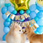 作品愛犬、愛猫のお誕生日に。お名前&年齢入り　ブルーのお城バルーンセット