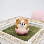 作品【受注製作】‐春限定‐桜パンツのまゆ柴犬の赤ちゃん(赤柴・黒柴・白柴)　ニードルフェルト