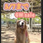 作品５/７までGWsale開催中♪