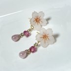 作品小さな桜🌸のピアス(イヤリング)