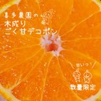 作品【 お試し品 】 喜多農園の木成りごく甘デコポン 5個入り お一人様1箱