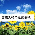 作品ご購入時の注意事項