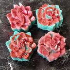 作品「海塩サボテン」手作り石鹼・Sea Salt & Cactus Succulent Handmade Soaps