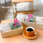 作品母の日新作[Flower & Coffee SET]丸咲バラのフェイクウォーアレンジ/選べるメッセージドリップバック5個
