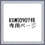 作品公式LINE特典★期間限定プチオーダーKUMI0907様専用ページ【夜空に月と星】