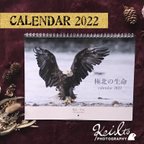作品極北の生命 Calendar 2022 by kei Ito Photography