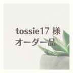 作品【tossie17様ご注文品】ステンドグラスピアスセット