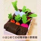 作品☆はじめての収穫体験☆野菜畑