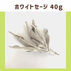 作品ホワイトセージ 浄化用 40g