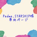 作品【オーダー】Padme_STARSHIP様