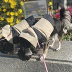 作品フード付きダウンジャケット Lサイズ ベージュ/ブラック(ベージュ/黒) 犬服 冬服 