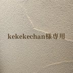 作品kekekechan様専用ページ