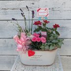 作品🌸《母の日限定販売》人気♡花寄せギフト