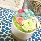 作品《母の日》🌷🐚プリザーブドフラワー