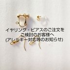 作品ピアス・イヤリングをご検討のお客様へ☆使用金具・一覧☆