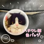 作品【再販】ハチワレ猫の缶バッジ