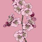 作品Plum Blossom art, Pop-art style, postcard size. February's Flower - 梅の花のアートポップアートスタイルはがき、２月の花