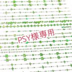 作品PSY様専用