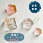 作品はんこ ハンコ かわいい 桜 さくら サクラ 組み合わせ 透明 春 花咲く クリア アクリル 光 スタンプ 離弁花