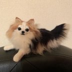 作品愛犬オーダー フセ お座り　リアル 羊毛フェルト チワワ ポメラニアン　柴犬