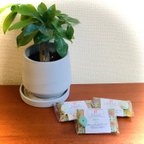 作品■お香＆お香台セット： 水紫山明 緑茶 　香台　Leafセット　※ショートお香