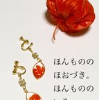 作品ほんもののほおずきイヤリング