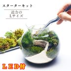 作品母の日 プレゼント【スターターキット】LEDライト付ボトルテラリウム　制作キット 16cm 苔セット 苔 ギフト　プレゼントにも