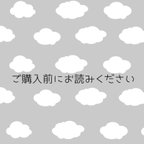 作品ご購入前に必ずお読み下さい