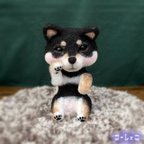 作品ぷにっとほっぺの黒柴　羊毛フェルト　ハンドメイド　柴犬