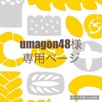 作品umagon48様専用☆ウェルカムボード