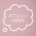 作品オプション　+300円