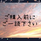 作品ご購入前の注意事項