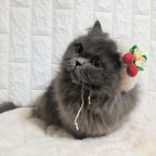 作品【受注制作】雪いちごのきらふわベレー帽🍓猫、小型犬用