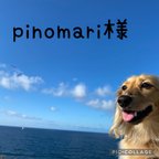 作品ꕤ︎︎pinomari様ꕤ︎︎