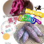 作品紫芋4.5kg以上！《ポリフェノールたっぷり♪》愛媛県産
