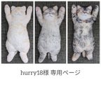 作品++  hurry18様専用ページ  ++