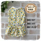 作品犬服　【完成品】接触冷感🍋フレッシュなレモン柄