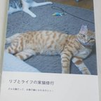 作品リブとライフの家猫修行　＊表紙変更してます