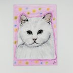 作品A4サイズ　チョークアートの長毛の白猫