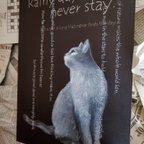 作品やまない雨はない　ねこ