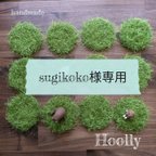 作品sugikoko様専用