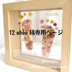 作品12 shio様 専用ページ