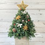 作品(好評につき再販）森のクリスマスツリー（金の星・角型）🎄(グリーンのヒムロスギのミニクリスマスツリー)