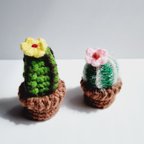 作品小さな 編みサボテンの鉢植え🌵