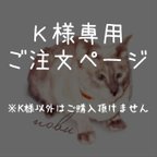 作品【K様専用ページ3】二つ折り財布（ファスナータイプ）+キーホルダーの追加♪